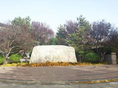 -北京国家会计学院