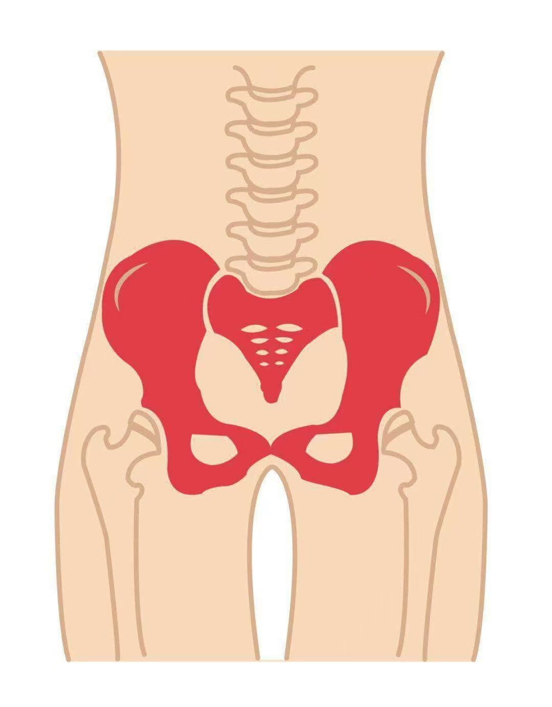 骨盆修复很重要