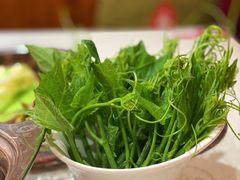 -一叶一世界•素食餐厅(新光天地店)