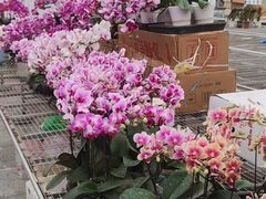 -长春农业博览园
