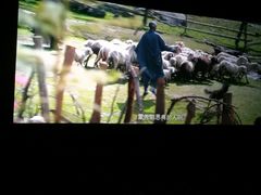 -博纳国际影城IMAX(中央大道店)