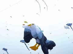 -潍坊滨海云门国际风筝放飞场