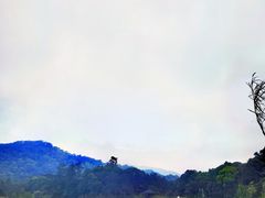 -海南热带雨林国家公园吊罗山景区