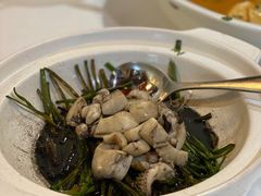 鱿鱼-信园