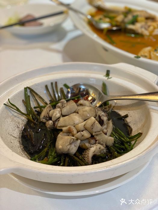 信园鱿鱼图片