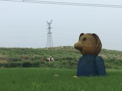 -陈有良尖椒鸡(江津总店)
