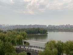 -小白鲨工夫潮膳(曲江店)