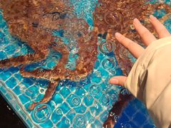 -忆江南·临江鱼馆