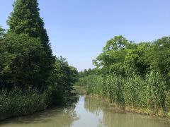 -沙家浜风景区