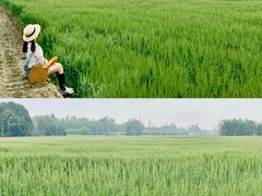 -中国天府农业博览园