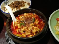 -陈麻婆豆腐总店