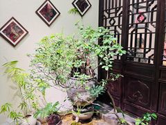 -鸢飞潍坊菜馆(鸢飞大酒店)