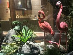 -星聚会KTV(景枫中心店)