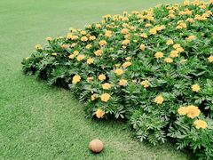 -西安电影制片厂