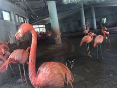 -石家庄市动物园