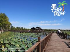 -天津东丽湖风景区
