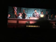 -万达影城(闵行颛桥万达广场杜比影院店)