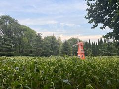 -洛阳市隋唐城遗址植物园