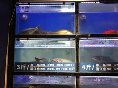 水产区-爱妻鱼•老体北重庆水煮鱼•川菜(白云路店)