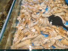 -川骄海鲜自助(亚运村店)