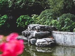 -四海公园(南山区)
