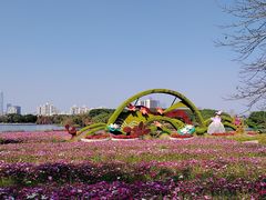 -海珠湖公园