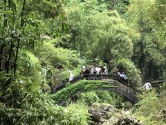 -三峡人家风景区