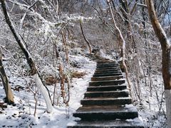 -紫金山山顶公园