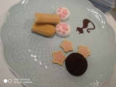 -三花喵·撸猫购宠·宠物生活馆(虹桥南丰城店)