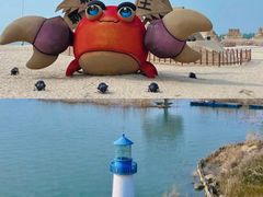 -泗洪洪泽湖湿地景区