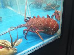 -盒马鲜生(王府广场店)