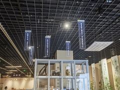 -安徽省地质博物馆