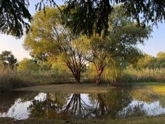 -长广溪湿地公园
