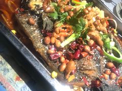 -陈生记黑鱼馆·20年活鱼现杀(宁波鼓楼店)