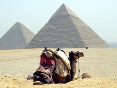 景点-吉萨金字塔群