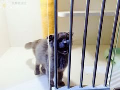 -1013 PET SHOP 宠物商店(近铁城市广场店)