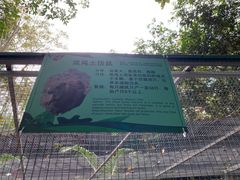 -呀诺达热带雨林