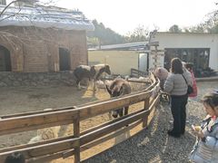 -HERRE·FARM 赫尔露营农场·团建聚会包场