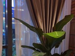 -泰合玺·精油疗愈SPA(狮山天街生活广场店)