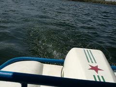 -长春市南湖公园