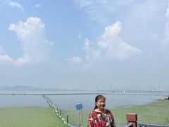 -东湖落雁景区
