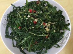野菜蒲公英，清热解毒-山丹皇家马场