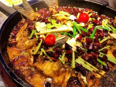 -老板恋上鱼(恒隆广场店)