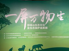 -张掖市博物馆