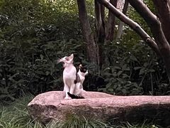 -杭州城北体育公园