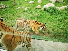 -西安秦岭野生动物园