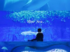 -海合安天津极地海洋公园