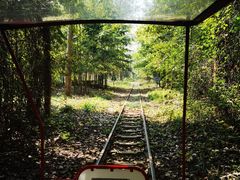 -合肥滨湖国家森林公园