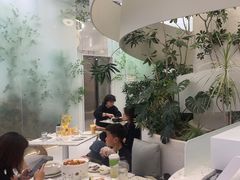 -大树餐厅(朝阳大悦城店)