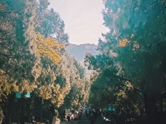 -千佛山风景名胜区